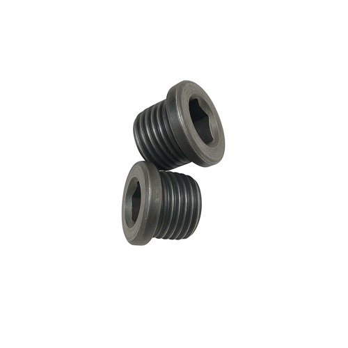 Set of screw plugs OE 28008486555