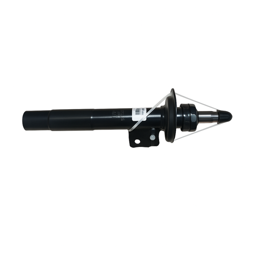 Spring strut, front OE 31316876753