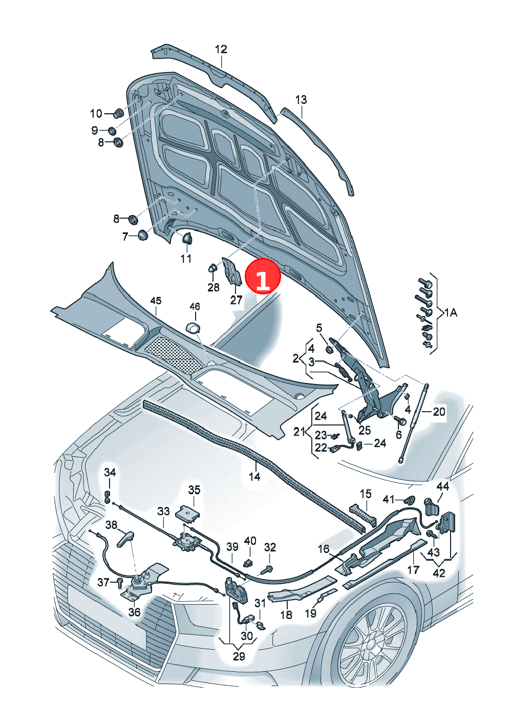 Bonnet OE 8W0823029A