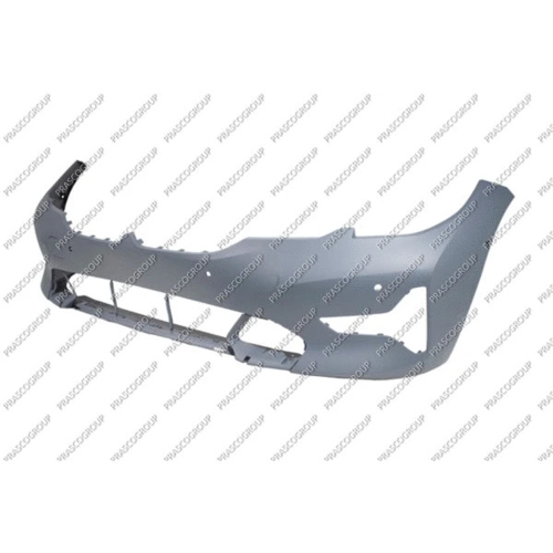 Panel, bumper, primed, front OE 51118496508