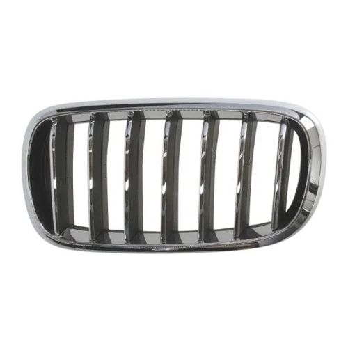 Grille, front, left OE 51137316061