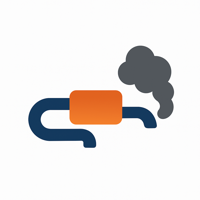 Exhaust system
